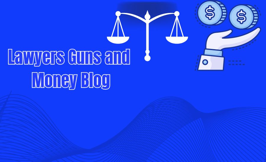 lawyers guns and money blog